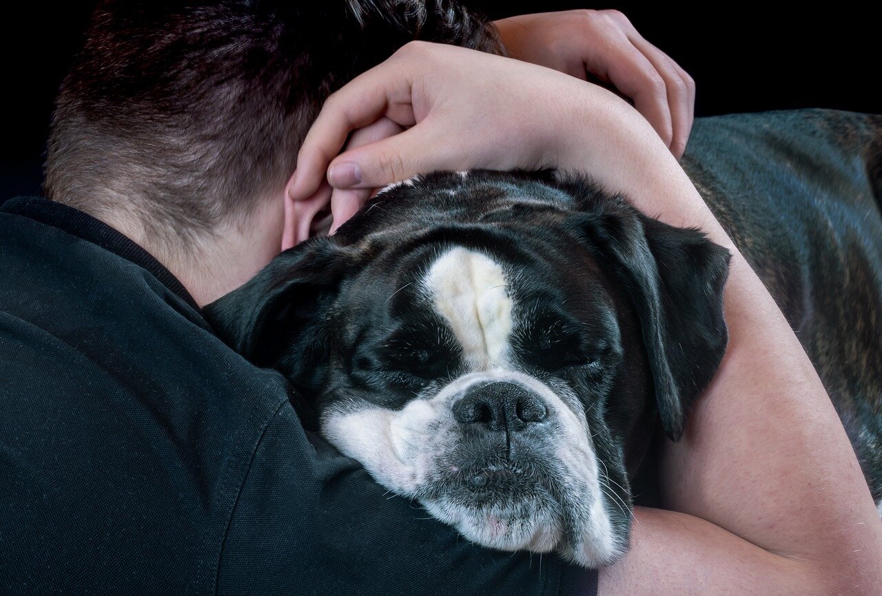 How Much Does Dog Chiropractor Cost