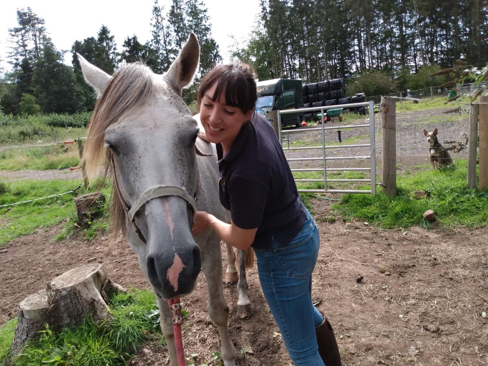 is-there-equine-massage-near-me-mctimoney-animal-therapy